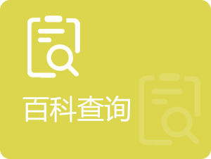 百科查询